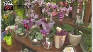 preview picture of video 'Blumen Arkade  Inh. Eichlberger Johanna in Ansfelden, Oberösterreich'