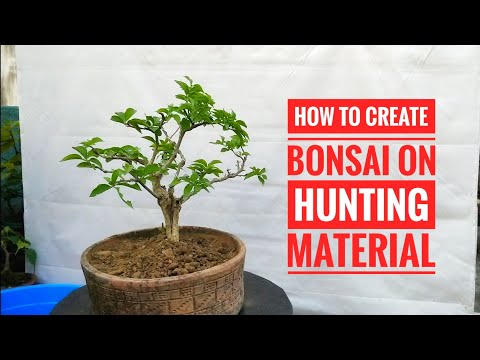 How To Create Bonsai on Hunting Material