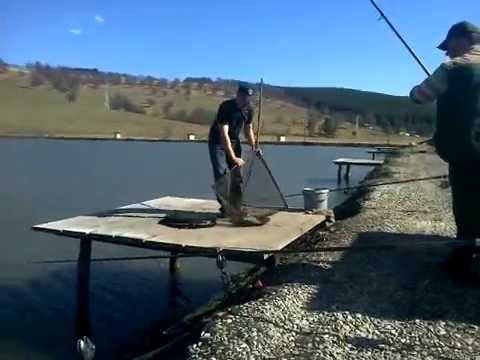 Captura Crap la Balta Valea Mare