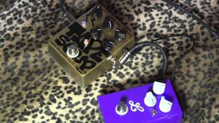 Holowon Industries TAPE SOUP pitch shifting vibe guitar pedal demo with RS guitars Tele