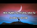 Meri Mummy Nu Pasand Nahi Tu Slowed Reverb Sunanda Sharma Songs By Slowed Music Production