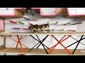 🐹  20-level Hamster Escape Maze with Traps 😱 [OBSTACLE COURSE] 😱  + BONUS