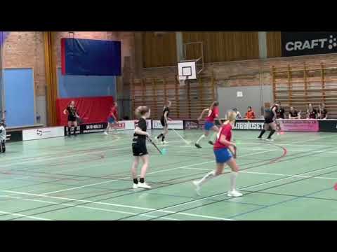 Pantamera Flickor D F07/08 Åstorp/Kvidinge IBS - Höganäs IBF 5-3