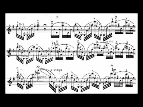 Heinrich Wilhelm Ernst - The Last Rose of Summer (1864)