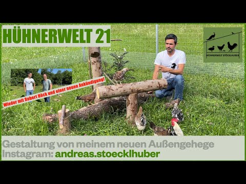 Hühnerwelt 21 Gestaltung vom neuen Steinpiperl Gehege wieder mit Happy Huhn Unterstützung 07/2021