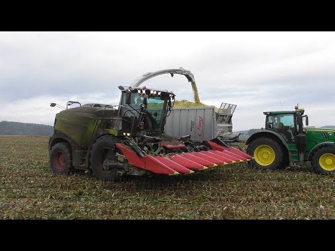 Kolbenfresser - Claas Jaguar 970 bei der Lieschkolbensilage - Maisernte 2018 - LKS