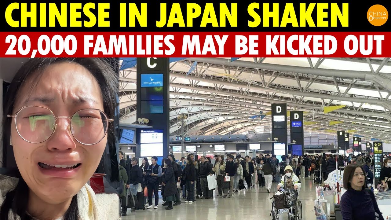 Chinese in Japan Shaken! 20,000 Families Face Expulsion in 3 Years, Paying for Their Bad Actions