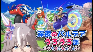 アキさんひいて深夜にパルデアうろうろ徘徊部