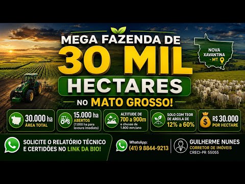 Fazenda de 30.000 Hectares à Venda em Nova Xavantina - MT | Dupla Aptidão