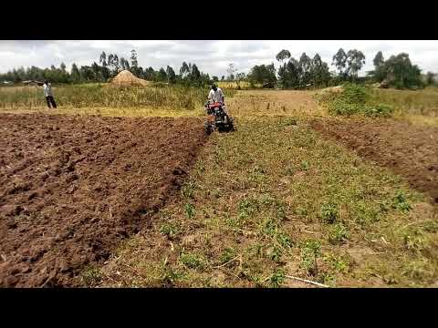 Ploughing using a walking tractor
