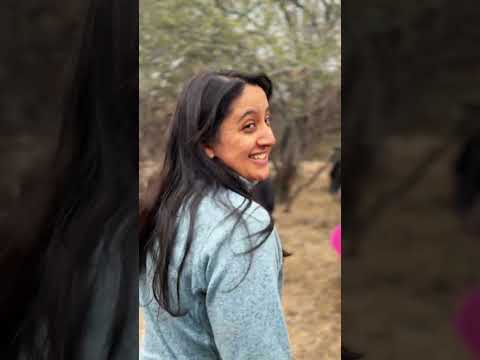 Sitio Ampisa en la reserva Arqueológica Provincial Guasapampa