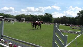 preview picture of video 'Alex Equitation Over Fences, WHA 2011-12 Hunter Jumper Series Walk, Trot, Canter Cross Rails Class'