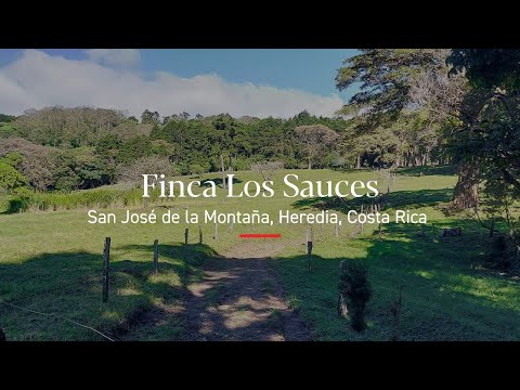 Rare 28.6 Ha Investment Finca in Heredia’s Highlands | Finca Los Sauces