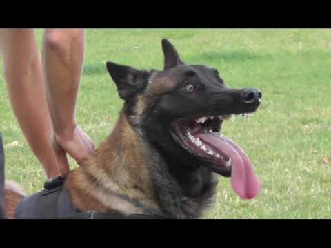 Summer traing camp HST Bochovce 2016