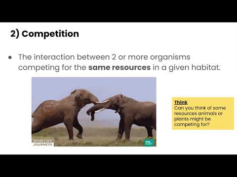 Ecosystem Interactions