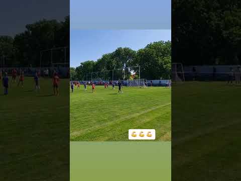 Minijatura videozapisa