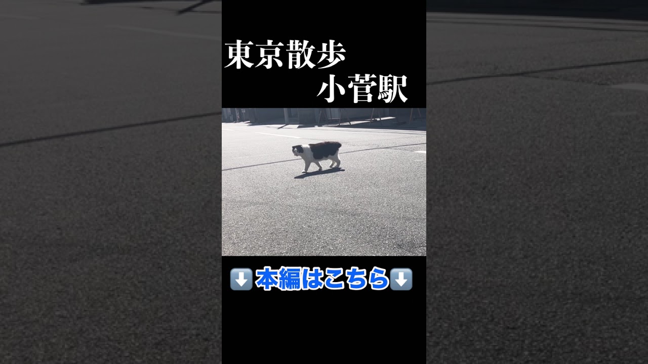 昭和レトロな商店街とディープな街並み。東京都　葛飾区　小菅。#昭和レトロ#東京拘置所 #小菅  #歴史散歩 #未解決事件