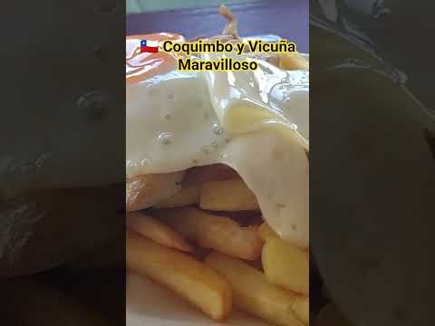 Coquimbo 🇨🇱 y Vicuña Comida excelente.... lindo valle del elqui