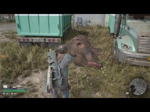 DAYS GONE-urso peludo quase me comeu