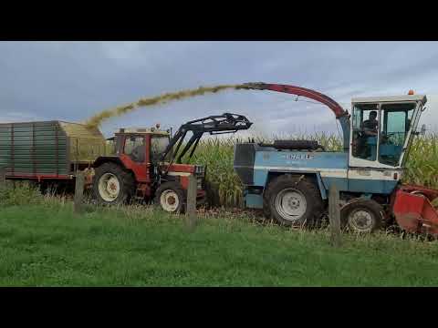 Maishäckseln 2024, Oldihacker Pr. Ströhen