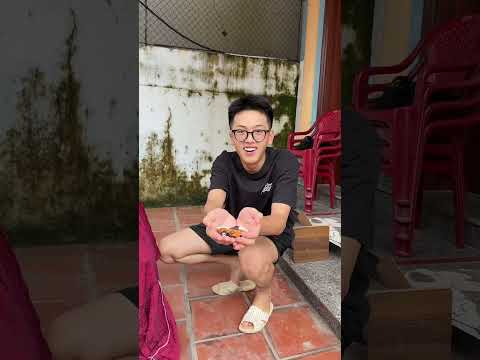 Chuyện tình xe máy