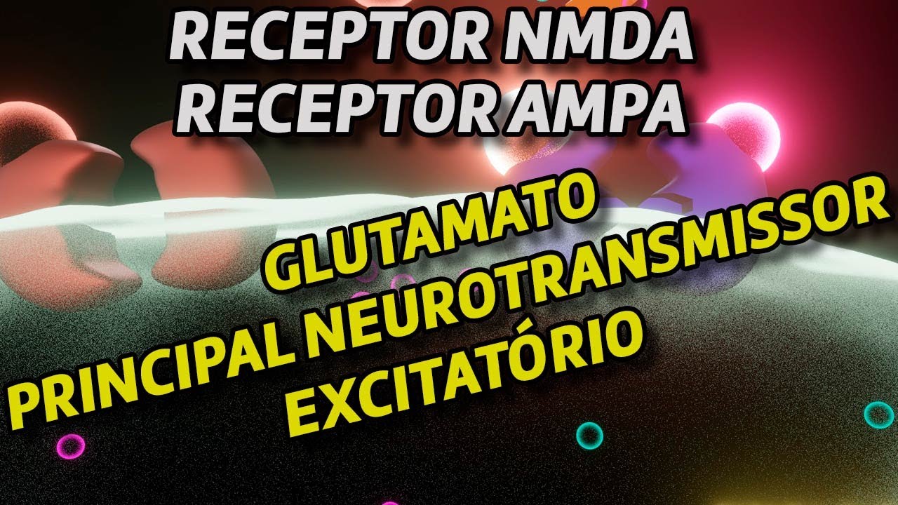 Glutamato - O principal neutrotransmissor excitatório