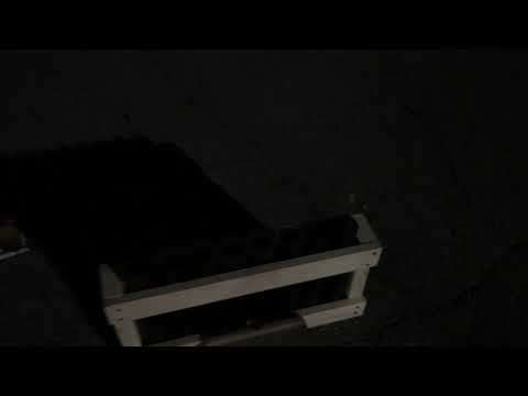 Raccoon Fireworks Strobing Willow 200 Gram Cake