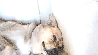 experiment by kevin kline  from delovely