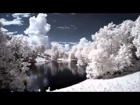 Sphingida - Springled Planet