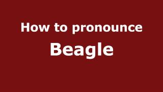 How to pronounce Beagle