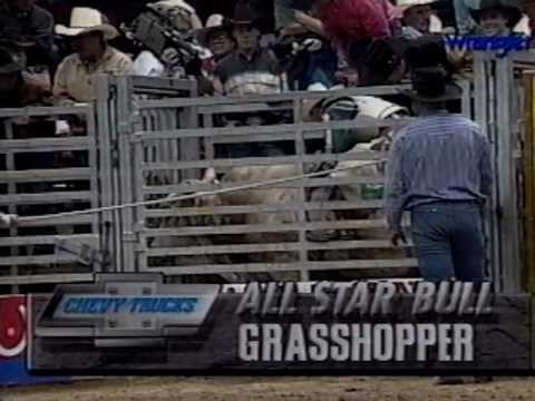 Wrangler Bull Riders Only - Best of Final Rounds