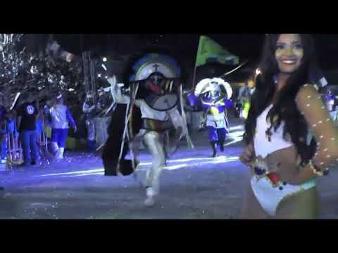 Urso da rua do sapo, vencedor de 2019