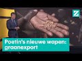Graan is Poetin's nieuwste wapen tegen het Westen • Z zoekt uit