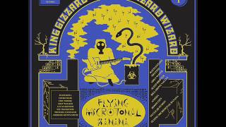 King Gizzard & The Lizard Wizard - Melting