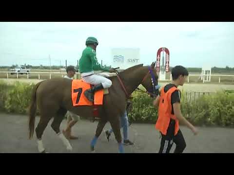 SINT FLORIDA 230216 c07 1° SILVER ORIENTAL