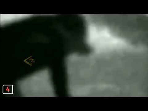 hombre lobo en Paso Pache Canelones Uruguay