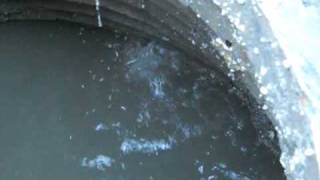 preview picture of video 'Bardstown sewer 3-20-09  http://www.sewerpalooza.com'