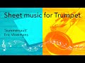 Eric Vloeimans - Summersault - Trumpet Solo Transcription (complete song)