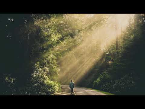 Fearless Motivation - Self-Confidence - Song Mix (Epic Music)