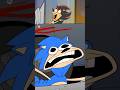 Hedgehog Road Trip