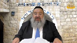 פניני הזוהר על הפרשה עם הרב רחמים נמני | פרשת תזריע מצורע