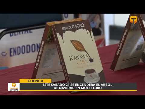 Este sábado 21 se encenderá el árbol de navidad en Molleturo