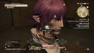 ［実況］MMO＆実況初心者が送るFF14 #2［エーテライトに1hour］