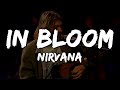 Nirvana In Bloom Lyrics