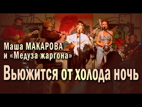 Вьюжится от холода ночь. Маша Макарова и «Медуза жаргона». Единственный концерт в «Рюмочной Зюзино».