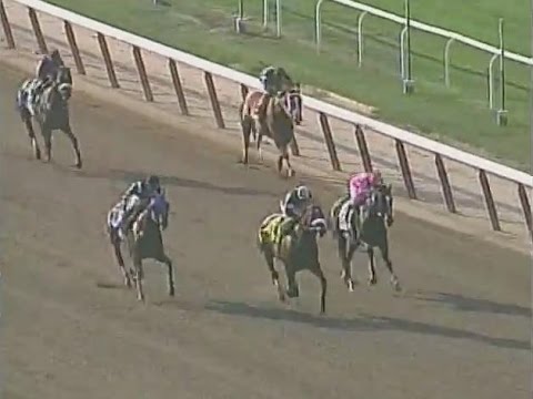 LIDO PALACE - 2001 Woodward Stakes (G1, 1800m)