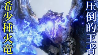 【MHサンブレイク】モンハンにおける希少って何なのだろうか…　#31