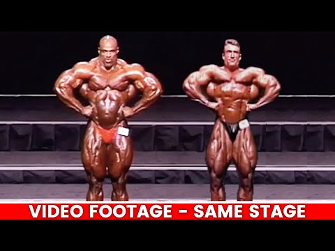 '𝟎𝟑 𝐑𝐎𝐍𝐍𝐈𝐄 and '𝟗𝟑 𝐃𝐎𝐑𝐈𝐀𝐍 - ULTIMATE Comparison