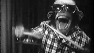 Lets Get It On...by THE SLAVEWAGE DAREDEVILS