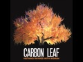 Carbon Leaf - X-Ray